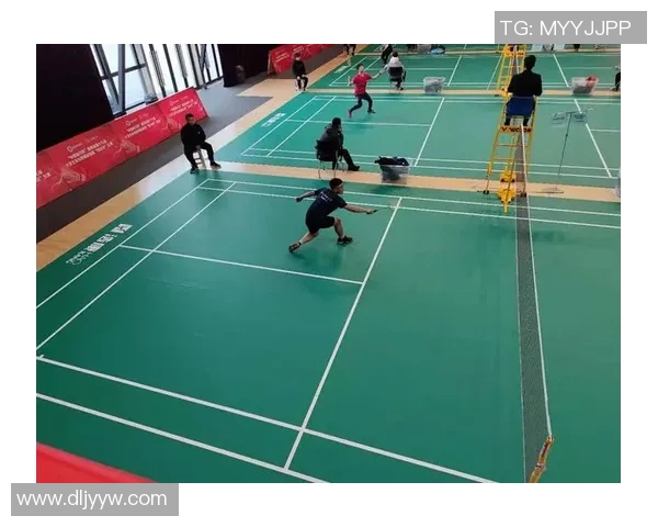 赛后分析:西安羽毛球队与广州羽毛球队的实力对决与战术探讨 赛后分析:西安羽毛球队与广州羽毛球队的实力对决与战术探讨