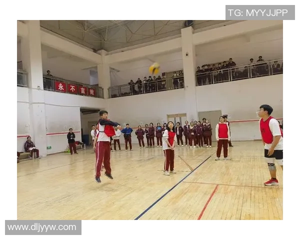 排球盛宴：深入分析西安排球队的战术与技术创新之路